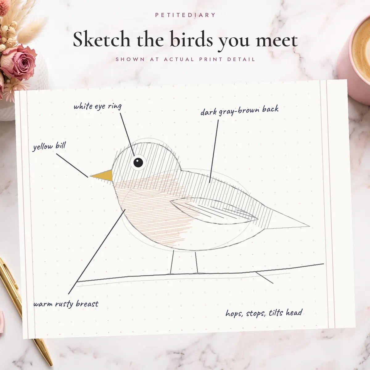 A5 Bird Watching Journal, image 4