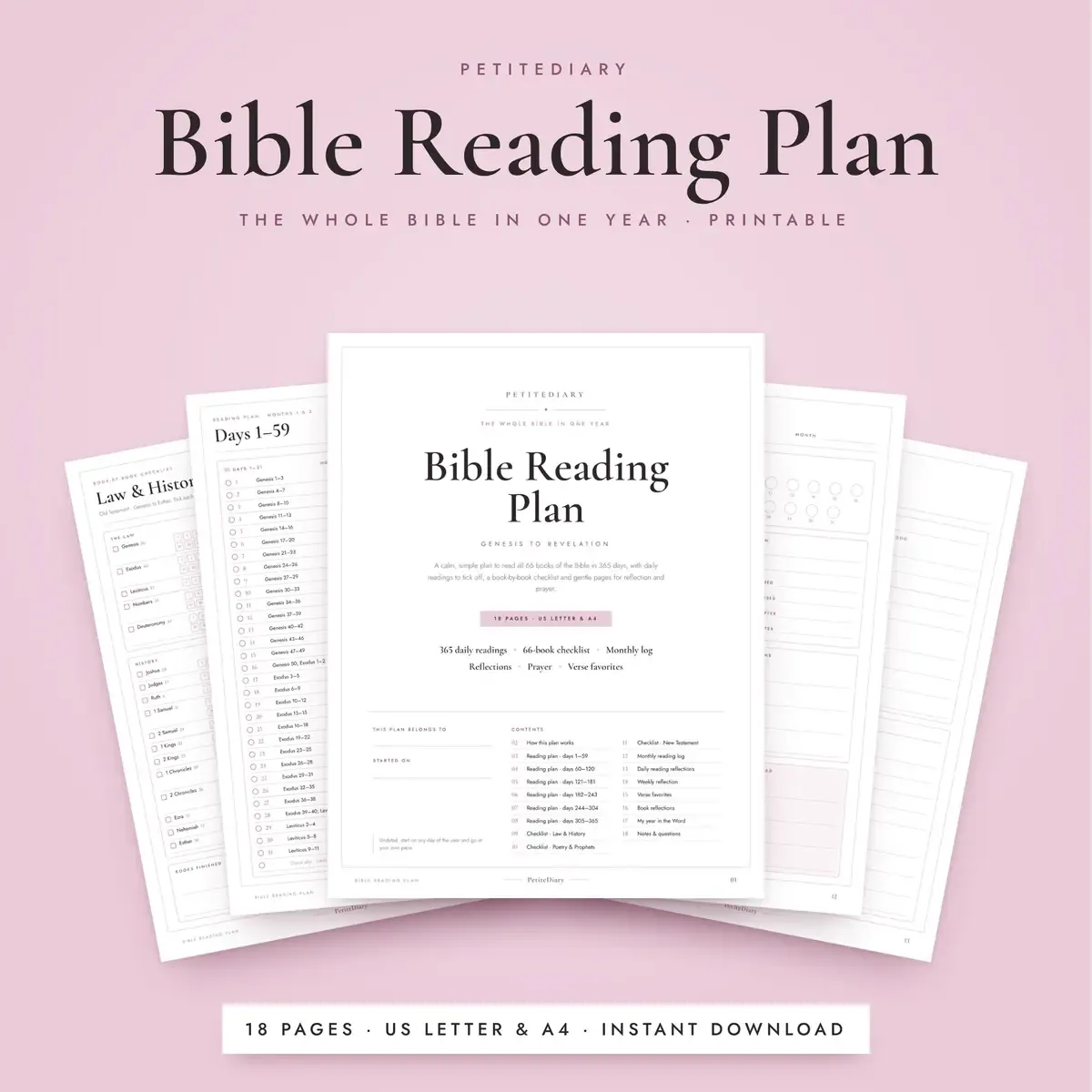 Bible Reading Plan