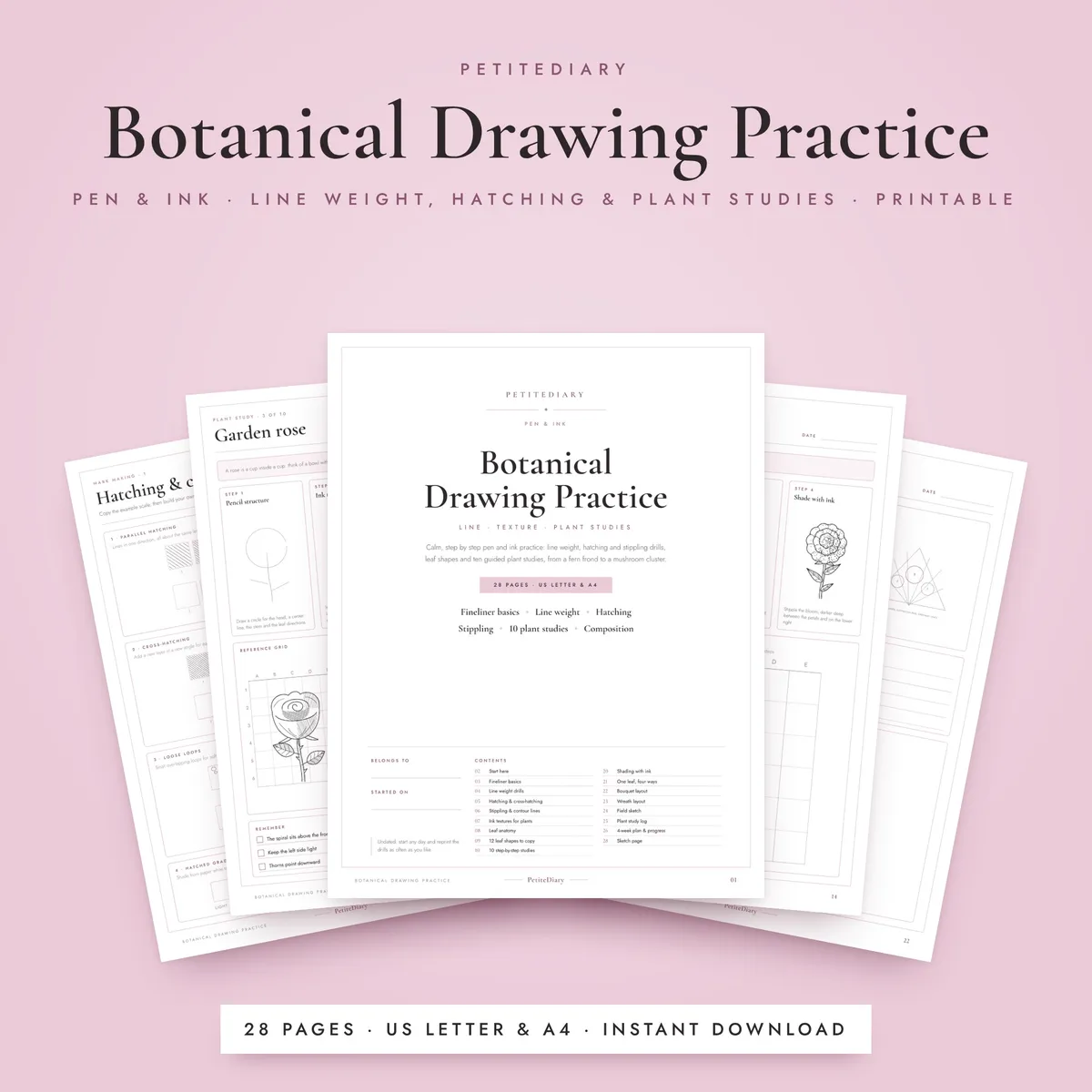 Botanical Pen & Ink Drawing Practice