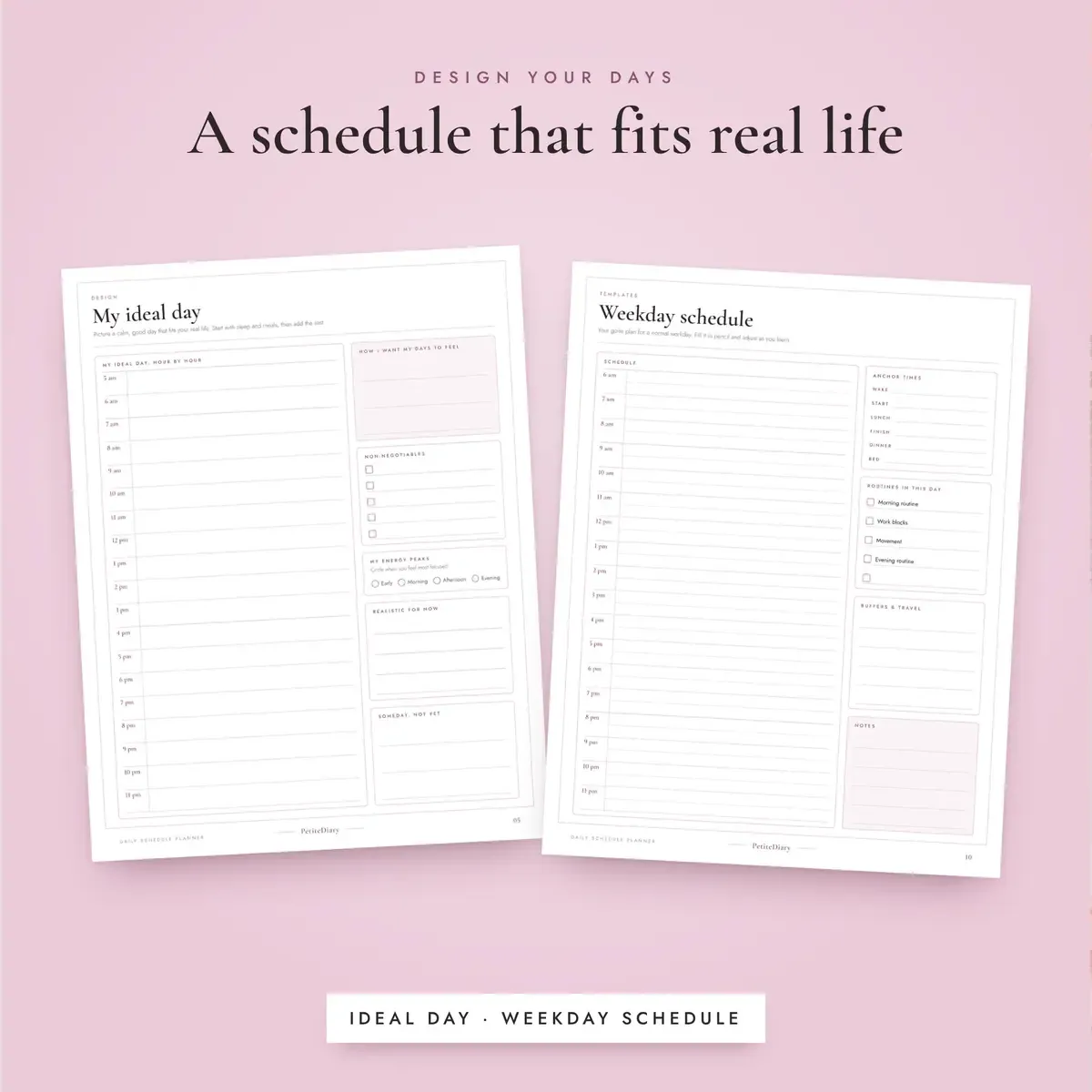 Daily Schedule, image 4