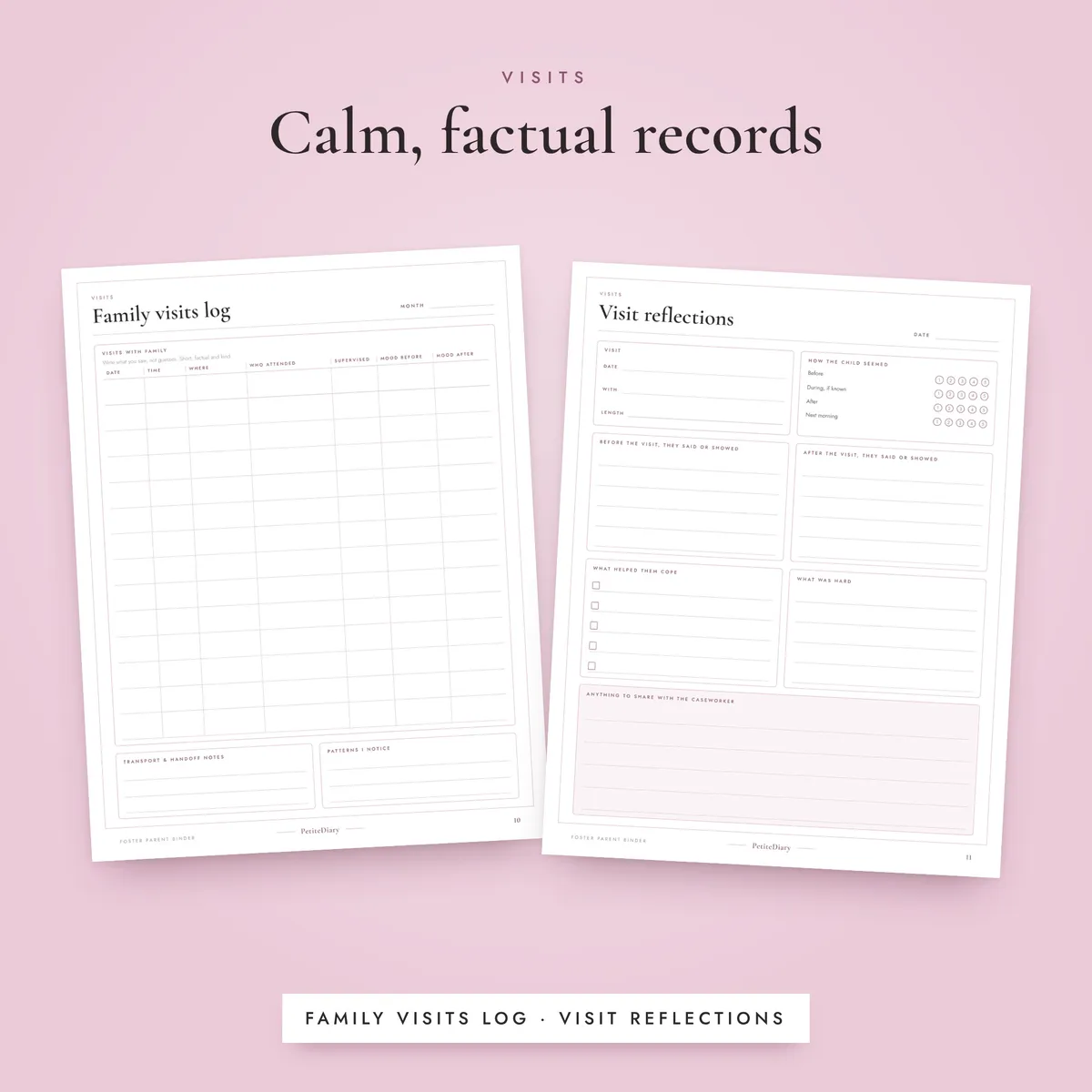 Foster Parent Binder, image 4