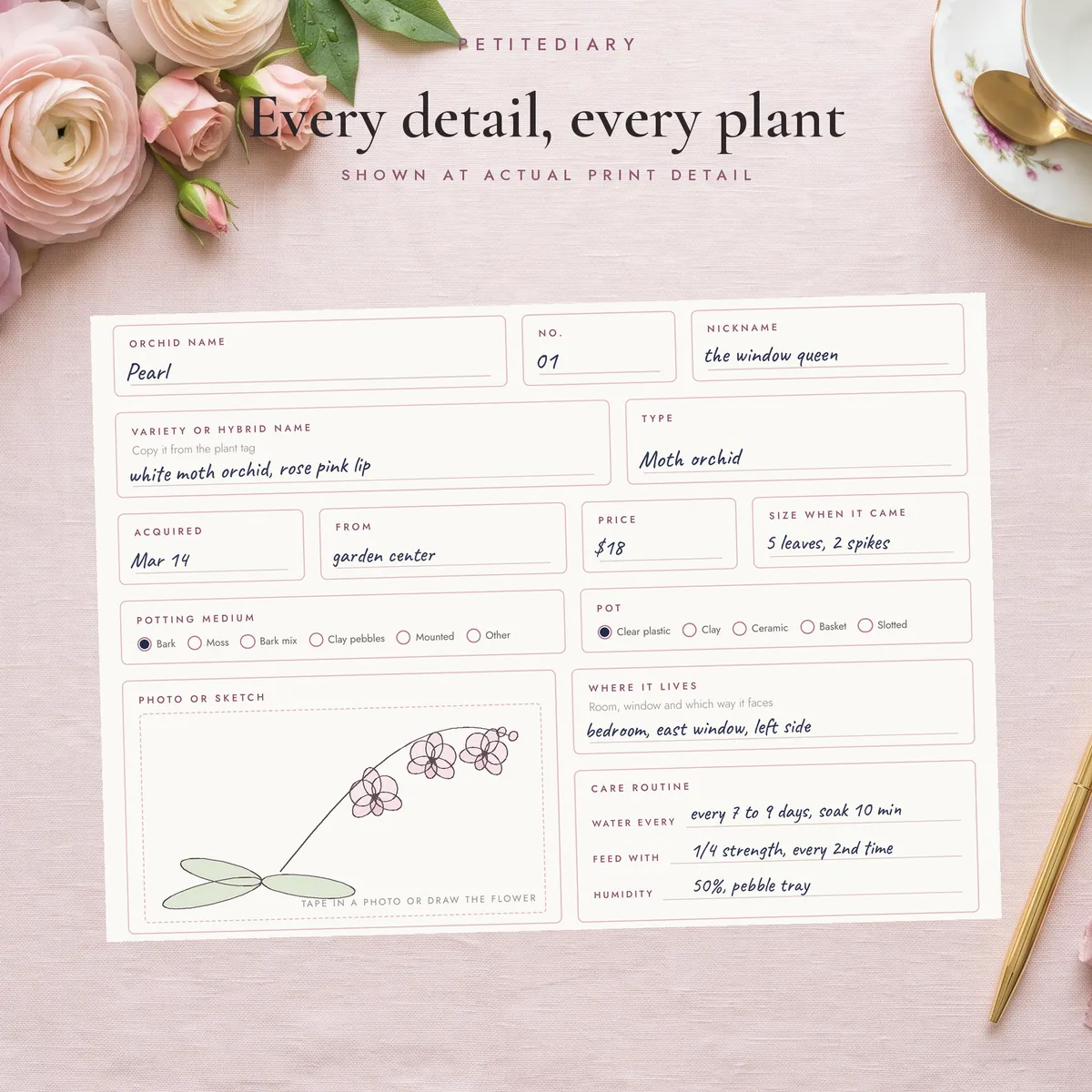 Orchid Care Log, image 4