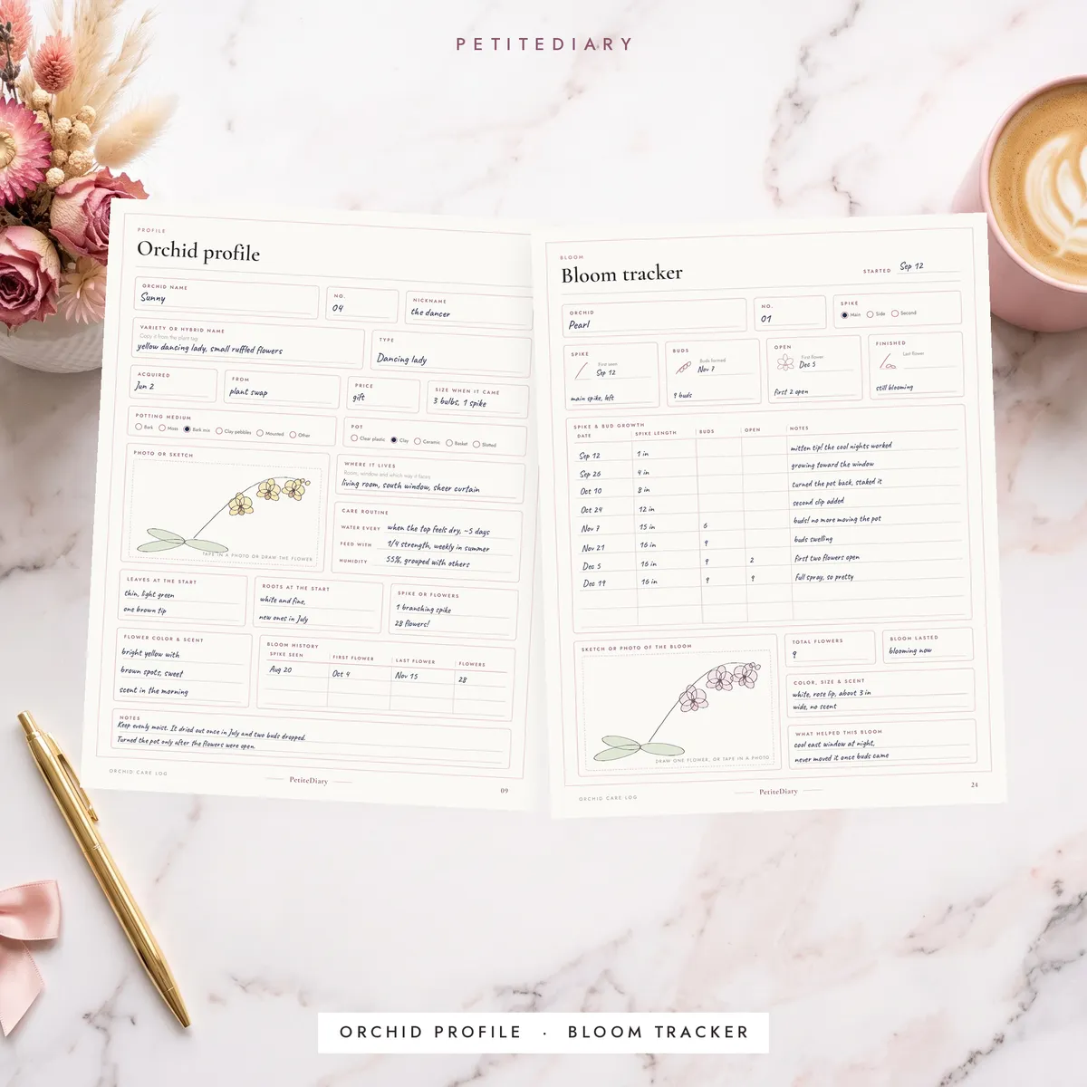 Orchid Care Log, image 5