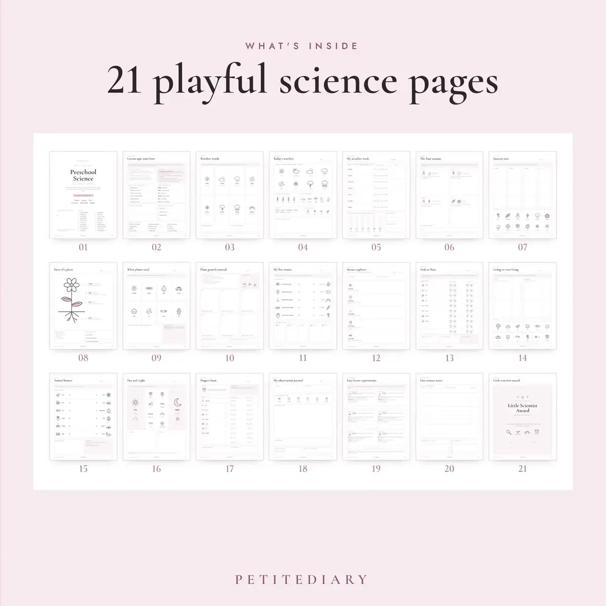 Preschool Science Activities, image 2