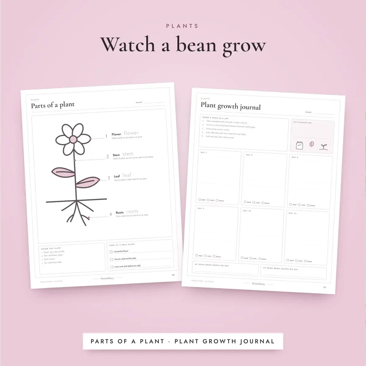 Preschool Science Activities, image 4