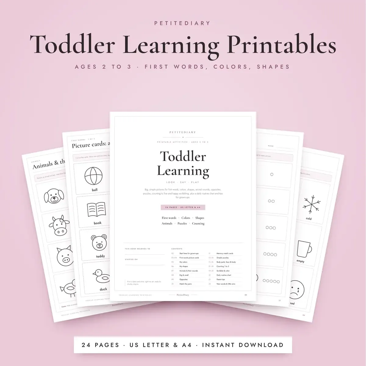 Toddler Learning Ages 2-3